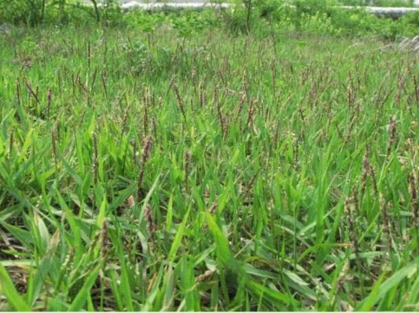 1662349033770442.jpg QQ截圖20220905113525.jpg