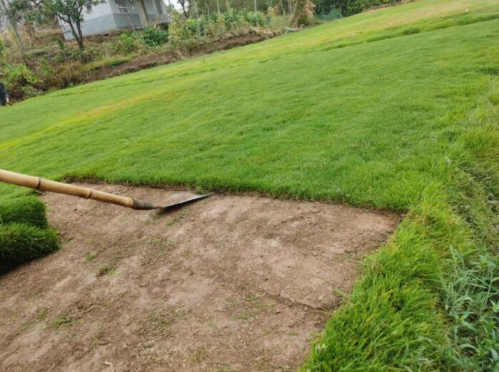 1662620030129216.jpg QQ截圖20220908145043.jpg