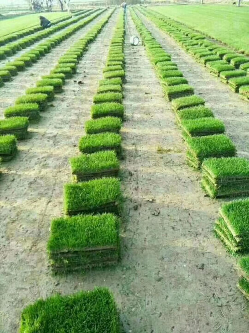 1663055552322122.jpg timg (3).jpg