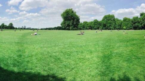 1663225643789434.jpg QQ截圖20220915145740.jpg