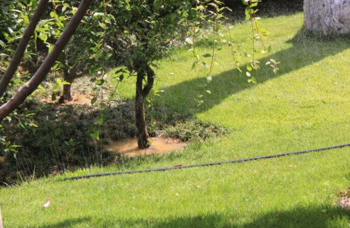 1663901479129496.jpg QQ截圖20220923104513.jpg