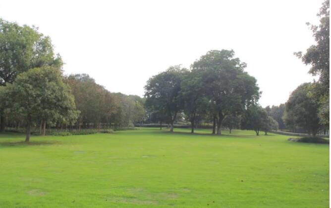 1664329765814616.jpg QQ截圖20220928094810.jpg