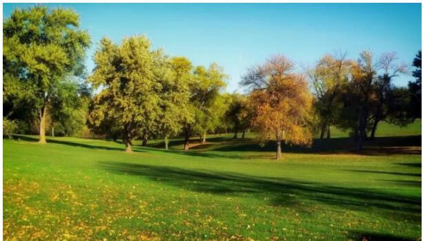 1664509340340857.jpg QQ截圖20220930113143.jpg