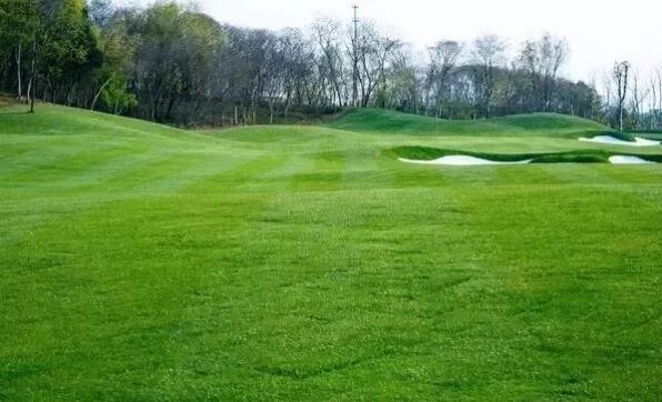 1665036636579212.jpg QQ截圖20221006140130.jpg