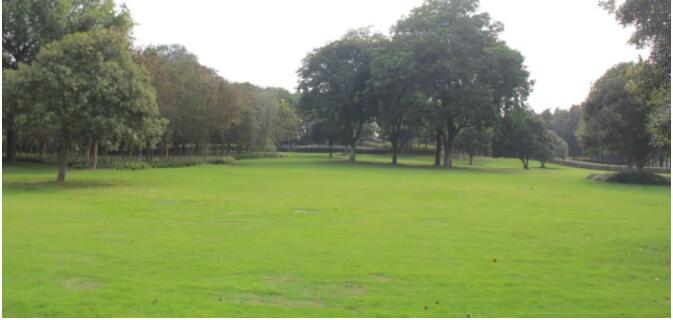 1665975845995198.jpg QQ截圖20221017105340.jpg