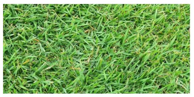 1667455792929845.jpg QQ截圖20221103135943.jpg