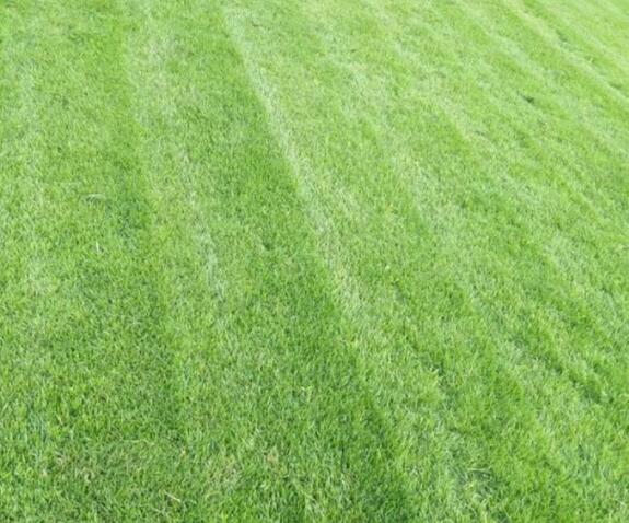 1668066073115792.jpg QQ截圖20221110153032.jpg