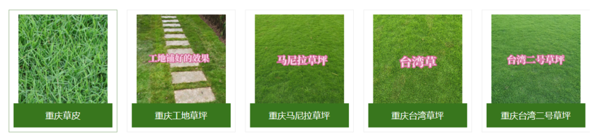 1708400016744176.png QQ截圖20240111133740.png