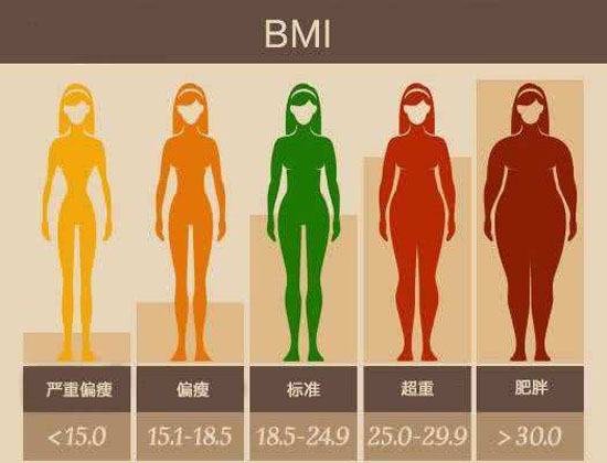 ָBMI.jpg