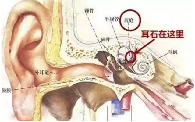 ʯλ.jpg