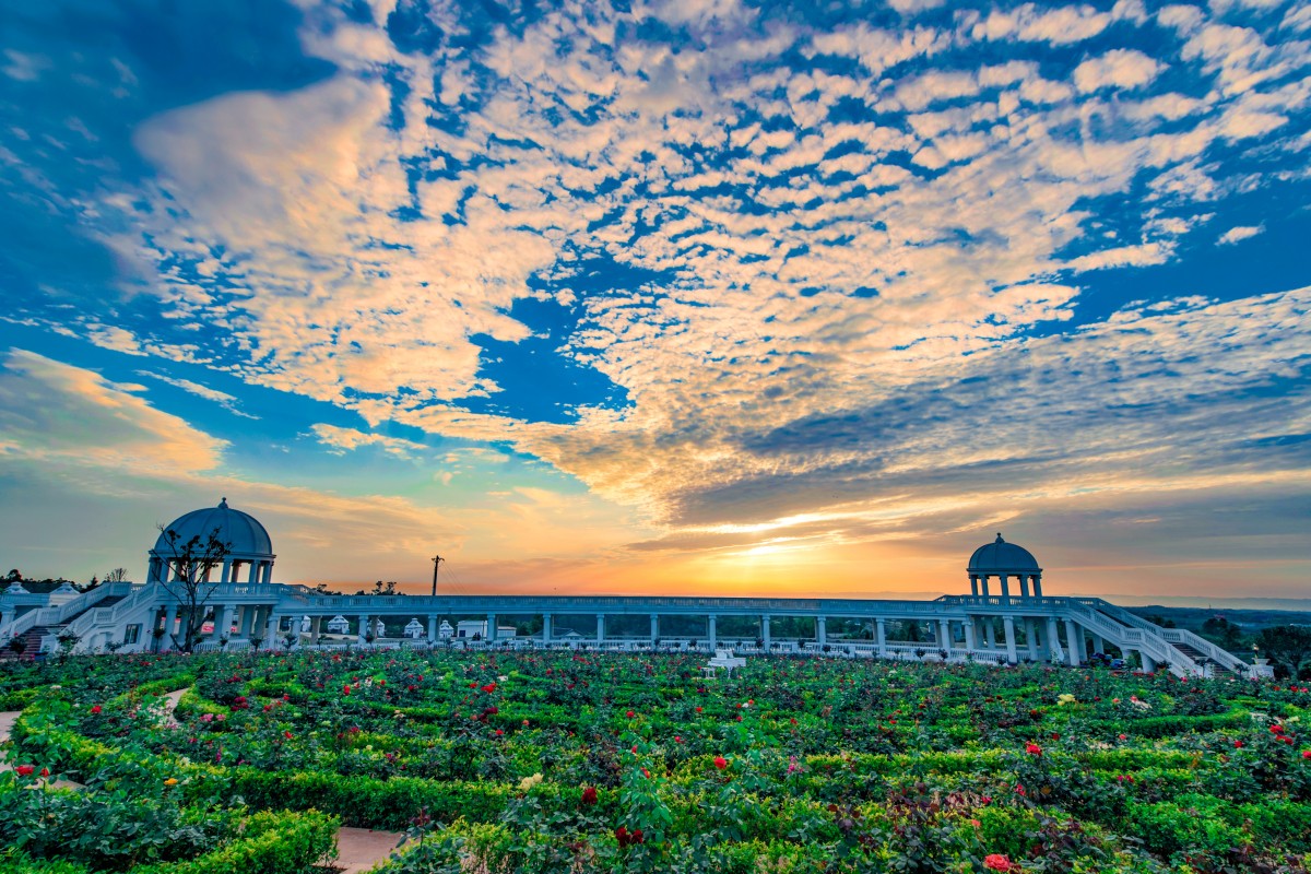 大安区第一届牛佛龙舟美食节摄影大赛结果公布