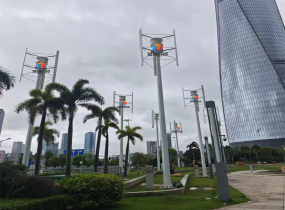 国家电网垂直轴并网发电项目