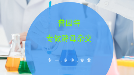 普因特生物工程有限公司