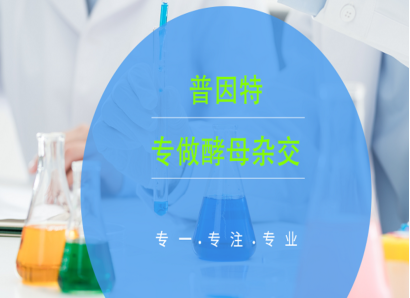 河南網(wǎng)站建設(shè) 河南網(wǎng)站建設(shè)