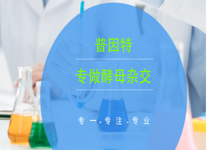 河南網(wǎng)站建設(shè) 河南網(wǎng)站建設(shè)