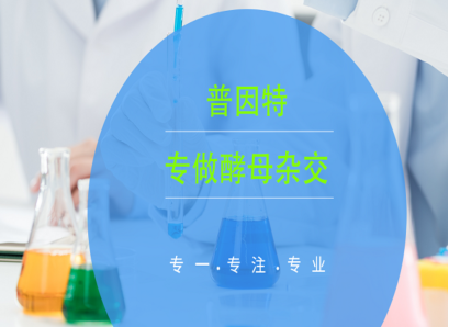 河南网站建设 河南网站建设