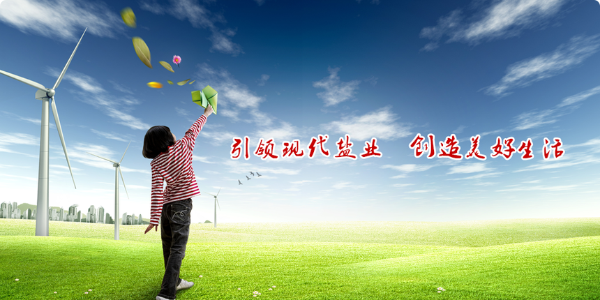 banner02.png