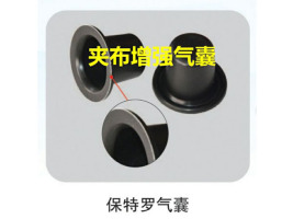 产品样品16 保特罗气囊
