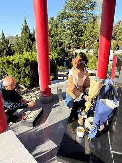 1764057213673533.gif 1764057213673533.gif