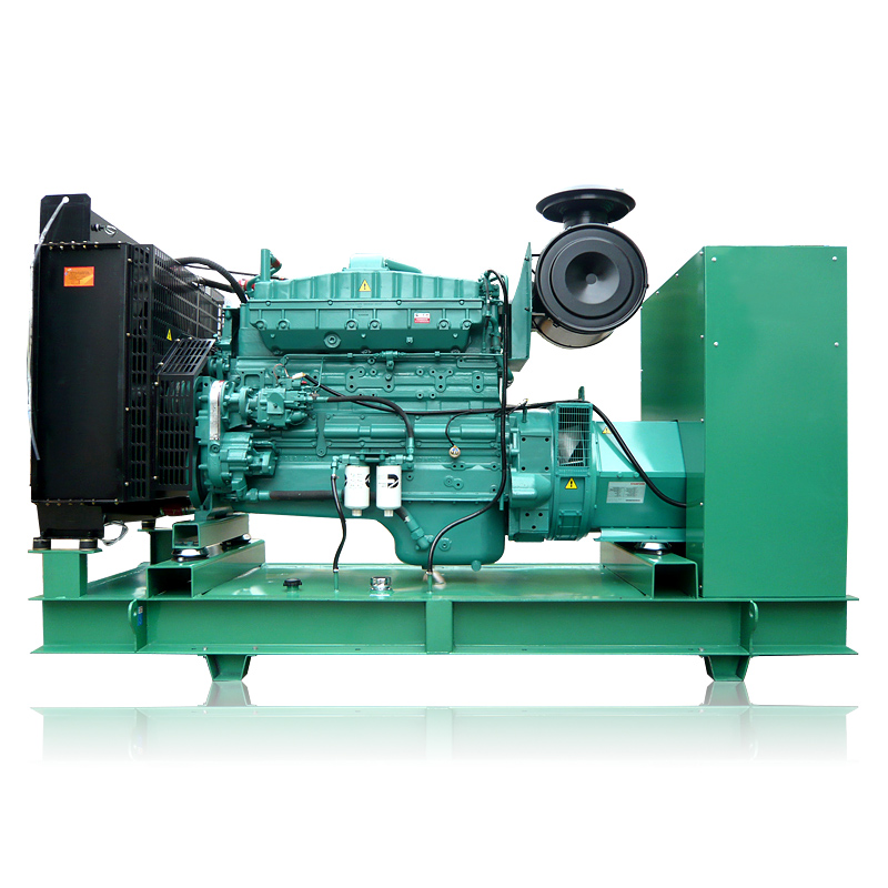 300KW����˹�������99 (69).jpg