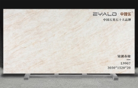 L9907��������