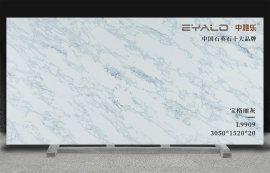 L9909��������