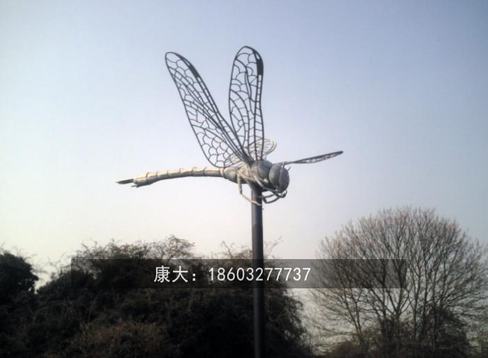 1587111466469751.jpg