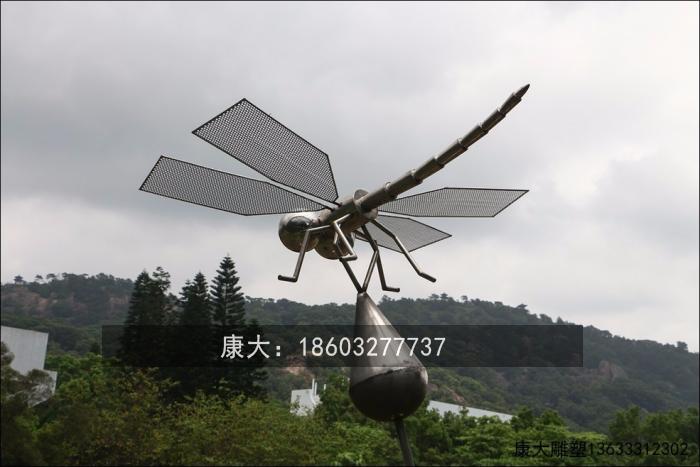 1587111775800427.jpg