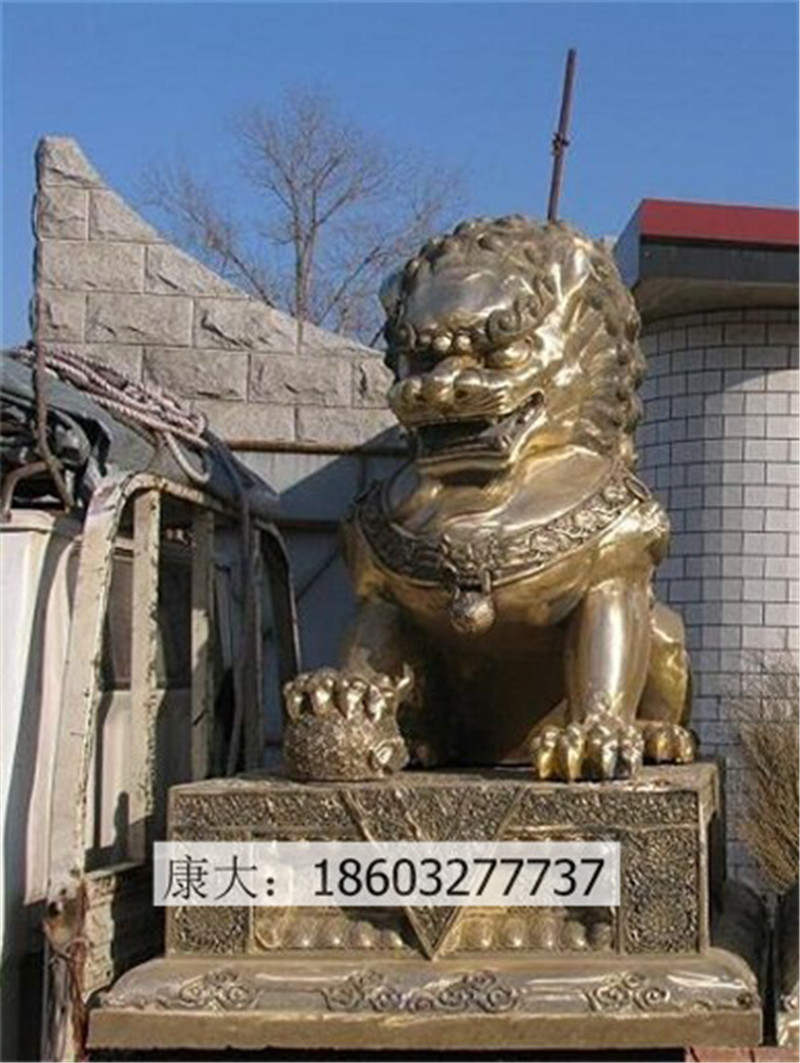 1626922470481524.jpg