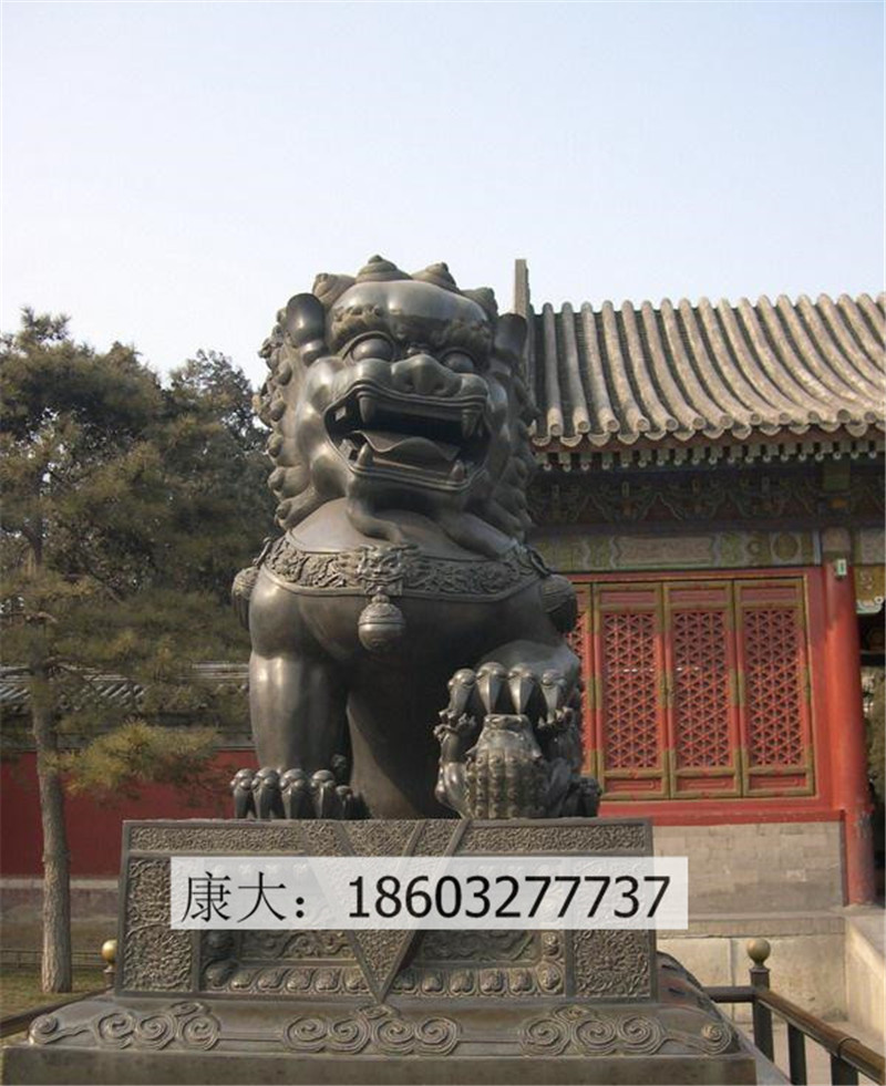 1626924905340591.jpg