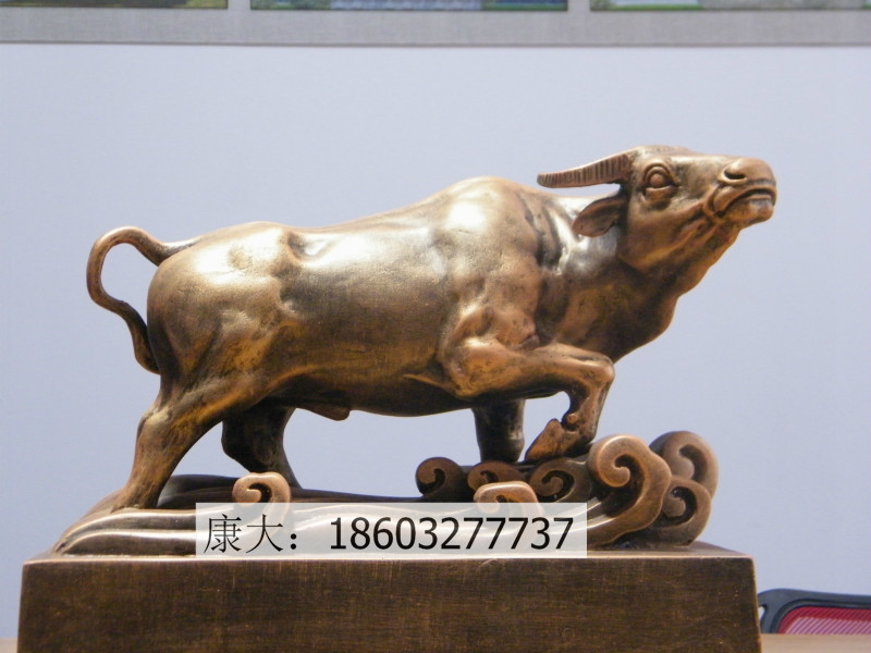 1627024416979241.jpg