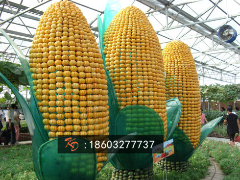 4a796ec0456274eb3007d.jpg