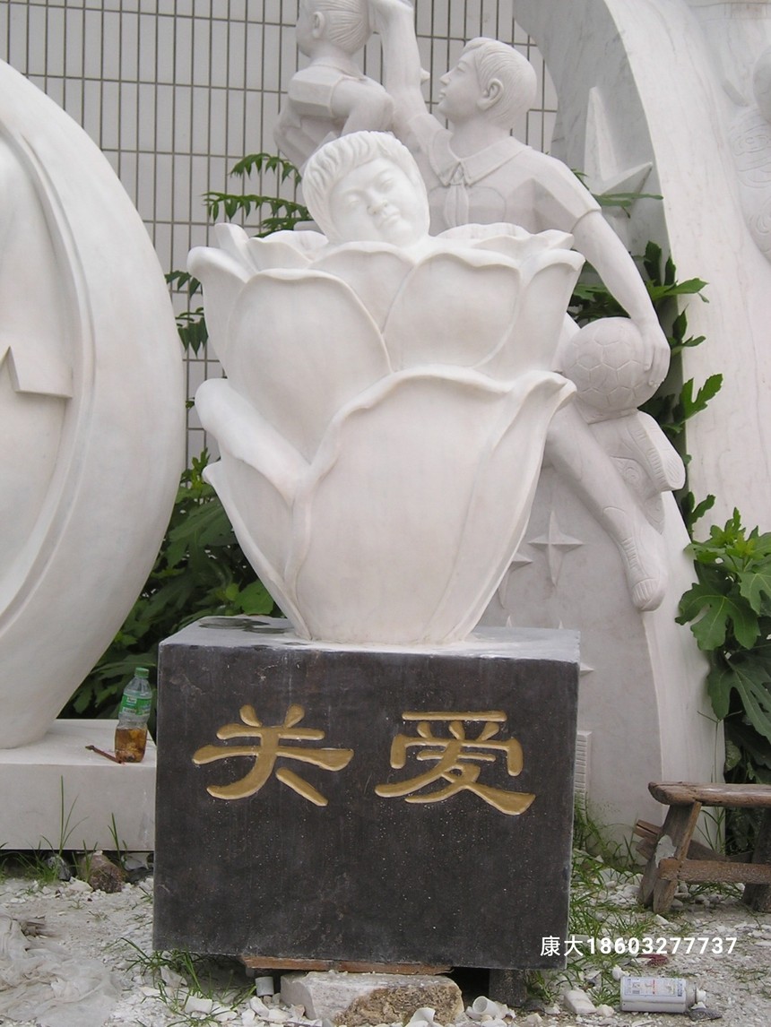 1646635251479617.jpg