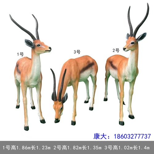 d31527ea9be81b234977135c8ed9366.jpg