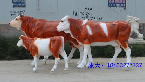 22_210725_7.jpg