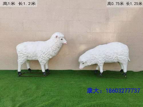 01_191508_3.jpg