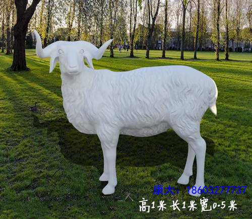 15_101454_6.jpg