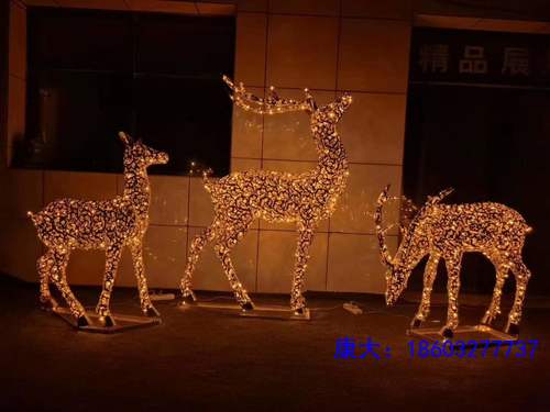 23_104242_4.jpg