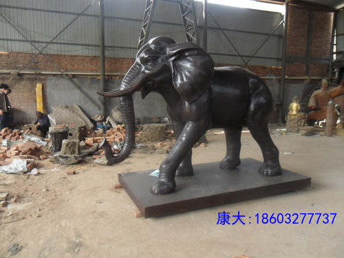 SAM_0128.JPG