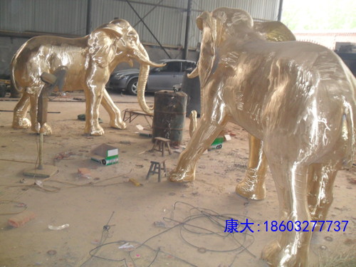 SDC10316.JPG