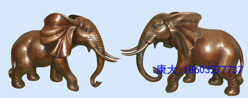 g0_9729517.jpg