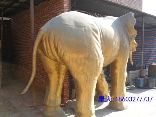SDC10181.JPG