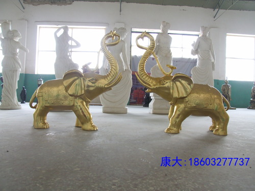 DSCF5786.JPG