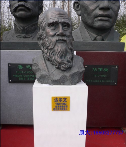 IMG_5364.PNG.jpg