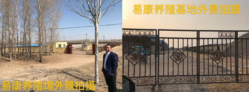 1644649882165375.png 辽宁易康1.png