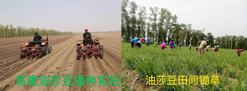 1644649905937440.png 辽宁易康2.png