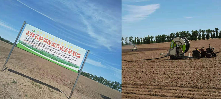 1644649930929428.png 辽宁易康3.png