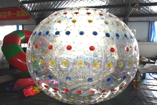 257.jpg