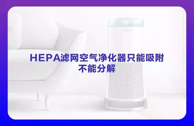 12.webp.jpg
