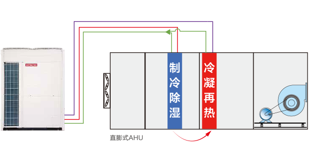 20250312_091741_026.png
